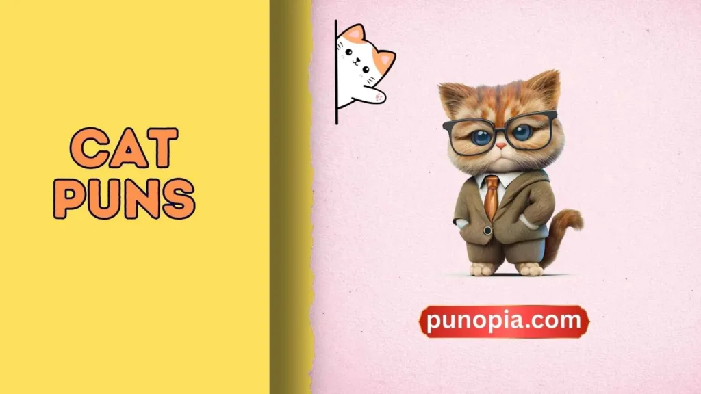Cat puns