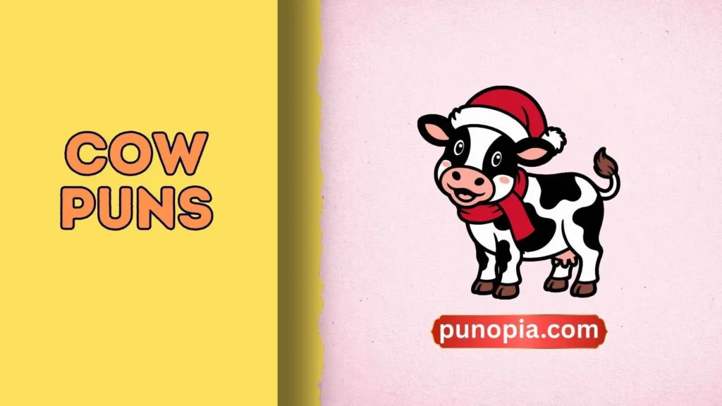 cow puns