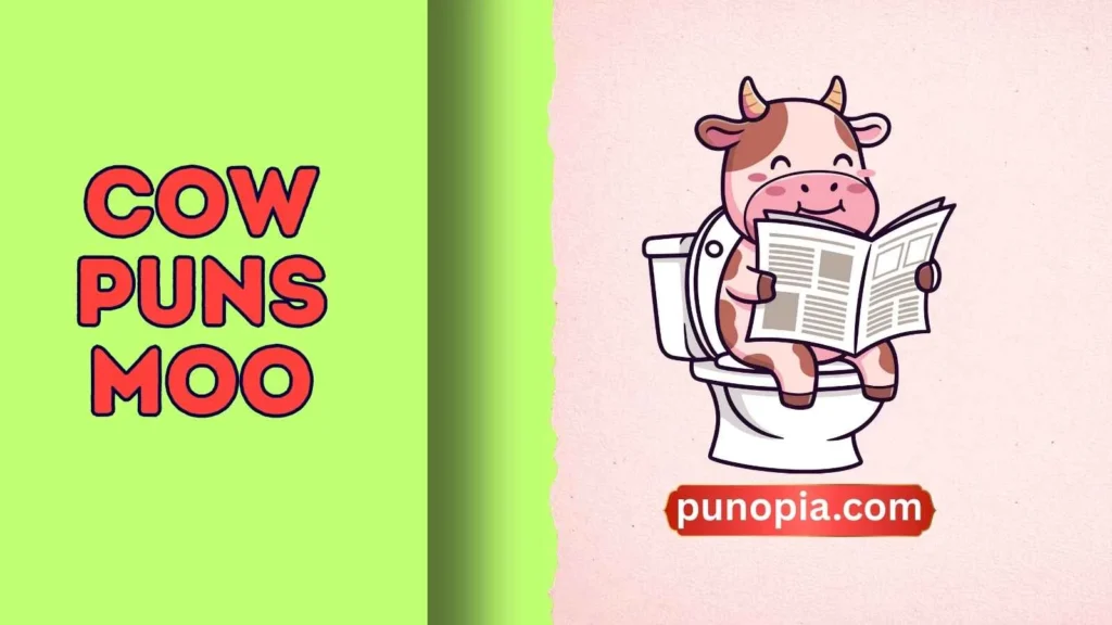 cow puns moo