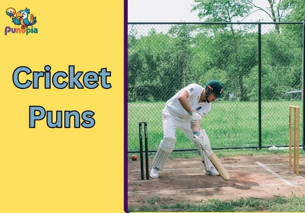 cricket puns