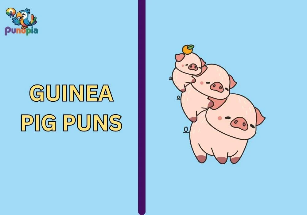 guinea pig puns