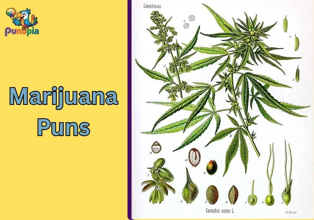 Marijuana Puns