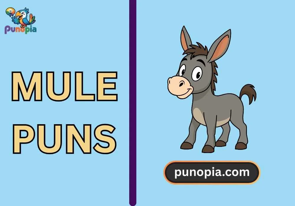 mule puns