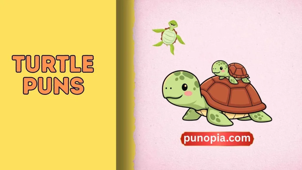 turtle puns