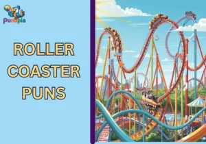 roller coaster puns