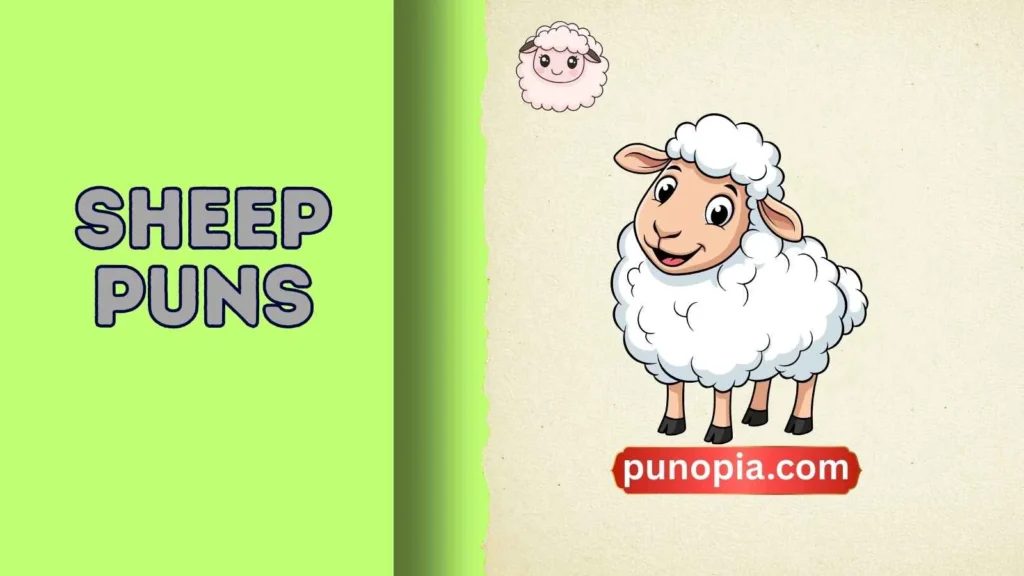sheep puns