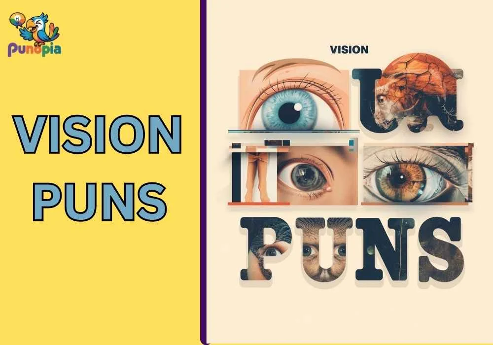 vision puns