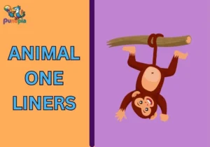 Animal One Liners