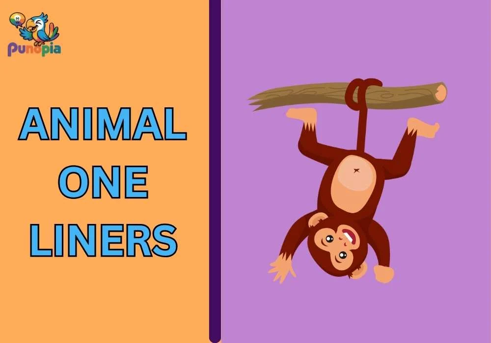 Animal One Liners