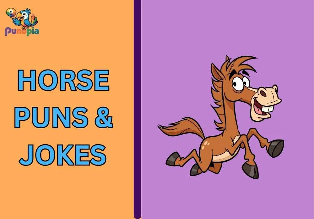 Horse Puns & Jokes