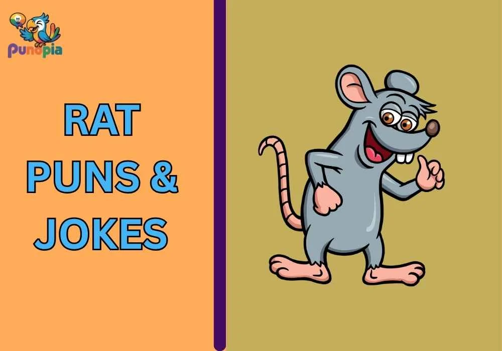 Rat Puns & Jokes