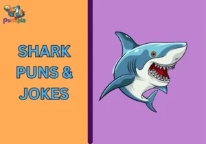 Shark Puns & Jokes