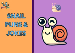 Snail Puns & Jokes