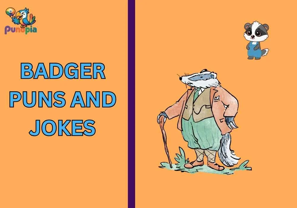 Badger puns and jokes
