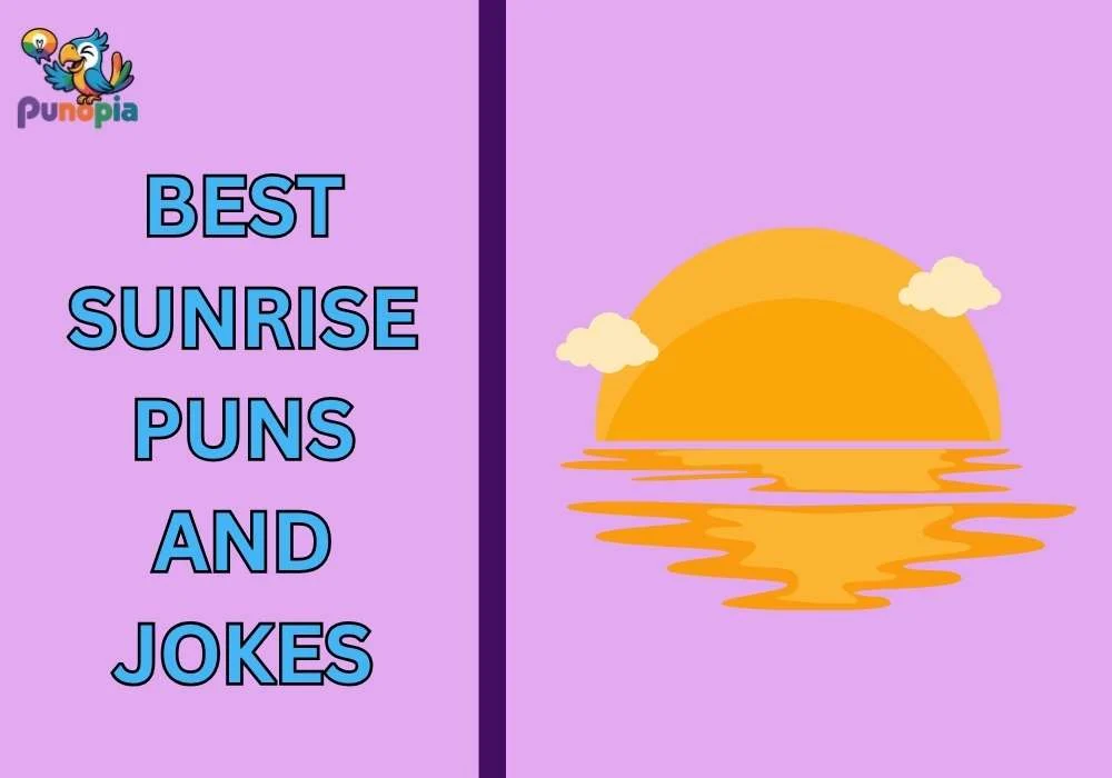 Best Sunrise puns and jokes