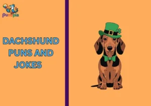 Dachshund puns and jokes
