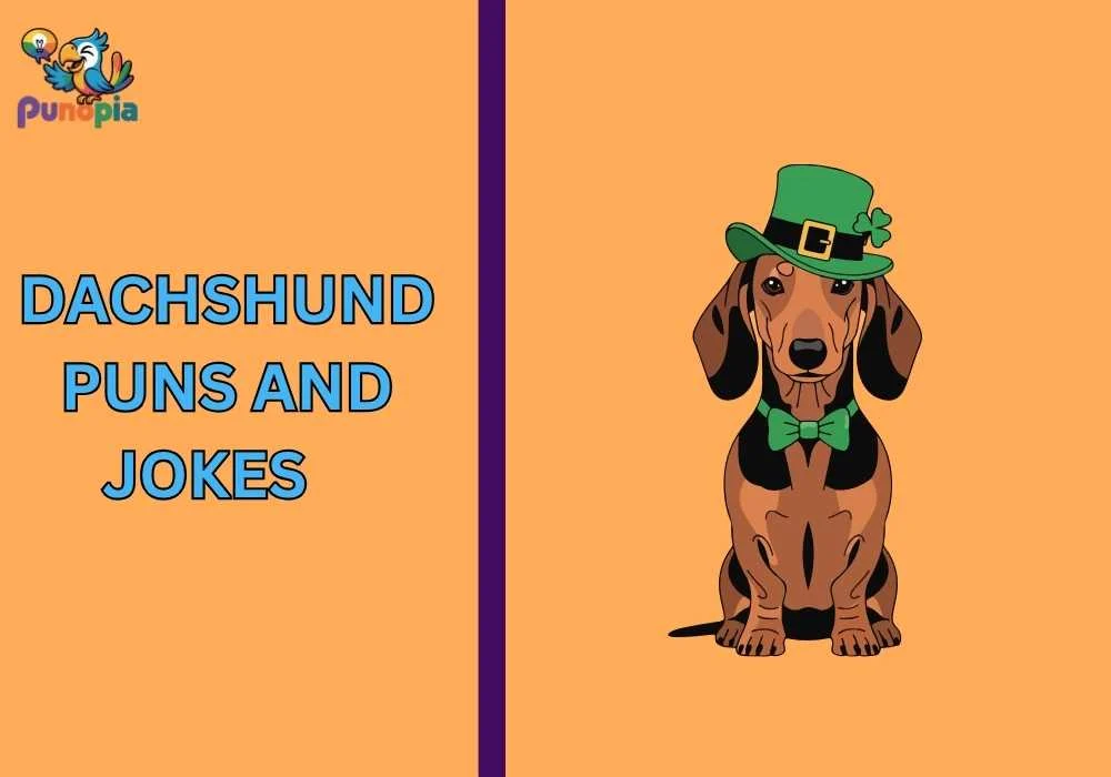 Dachshund puns and jokes