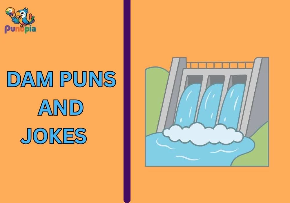 Dam puns and jokes