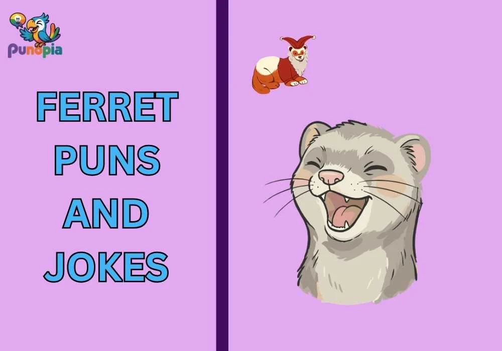 Ferret puns and jokes