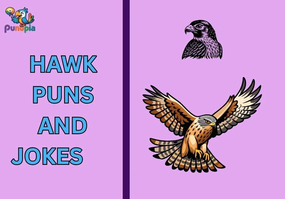 Hawk puns and jokes