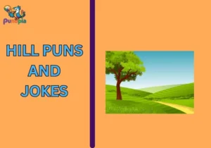 Hill puns and jokes