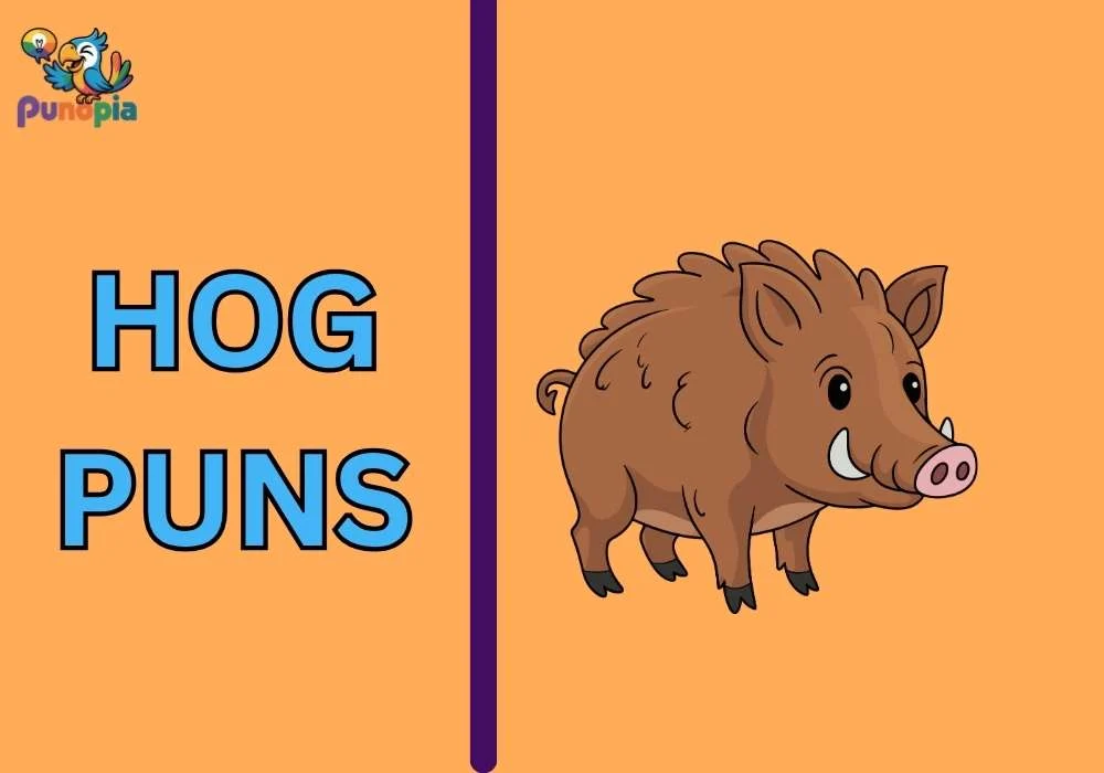 Hog Puns