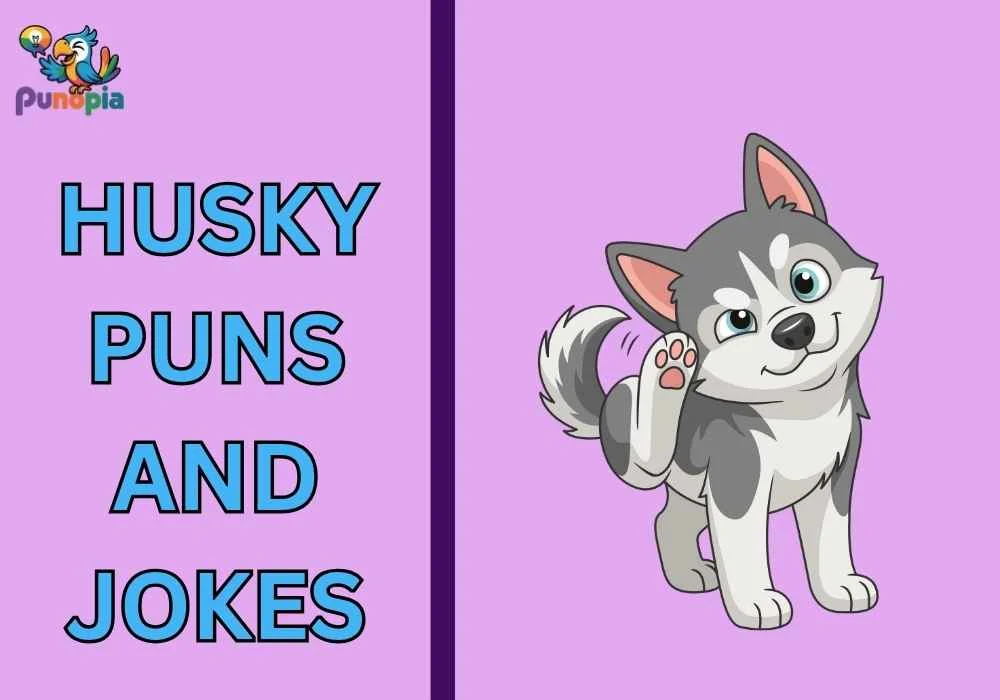 Husky puns and jokes