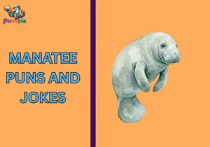 Manatee puns and jokes