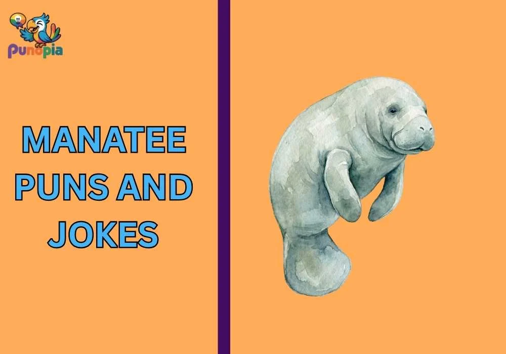 Manatee puns and jokes