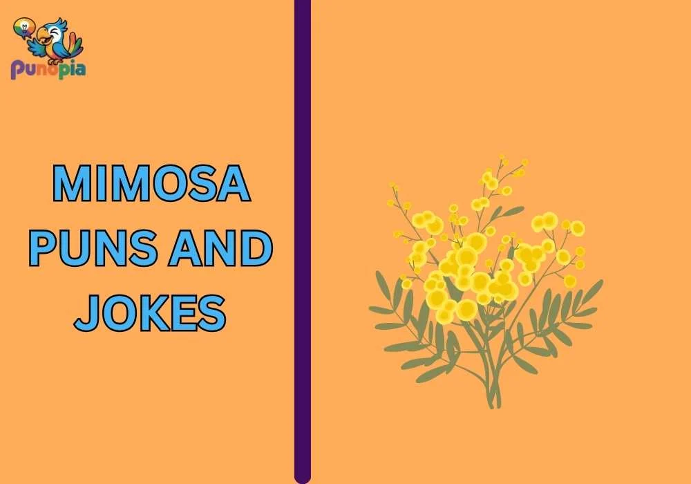 Mimosa puns and jokes