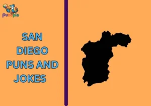 San Diego puns and jokes