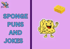 Sponge puns and jokes