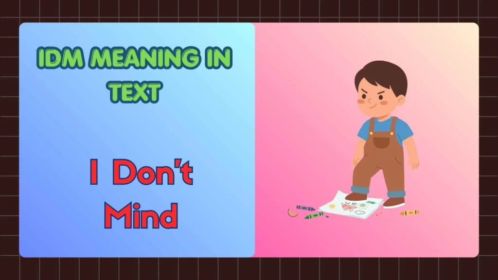 IDM Meaning in Text