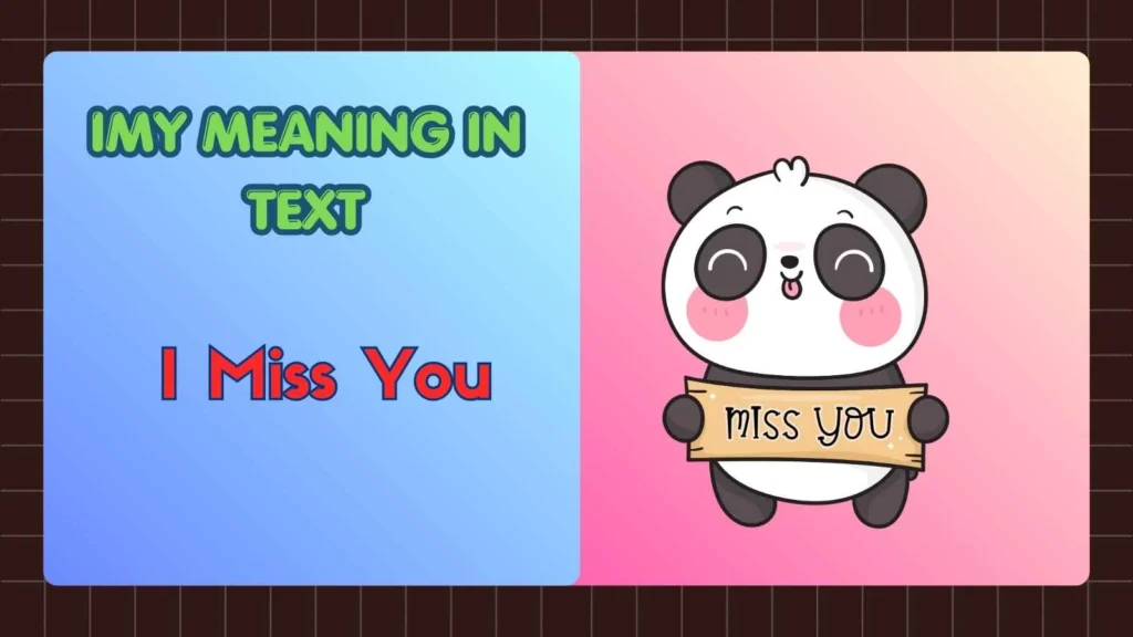 IMY Meaning in Text