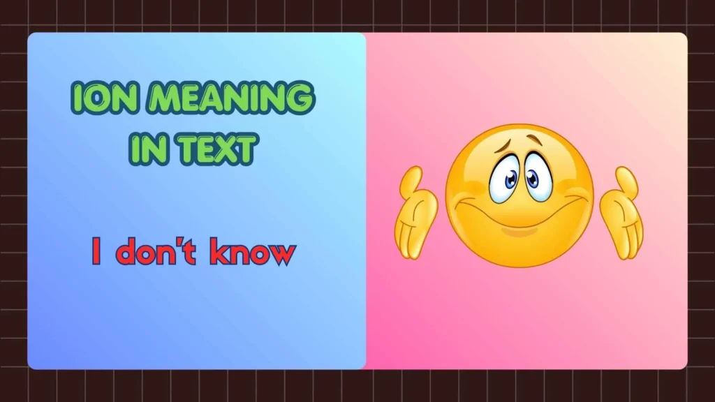 ION Meaning in Text