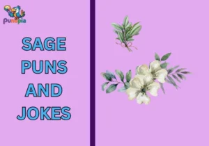 Sage puns and jokes
