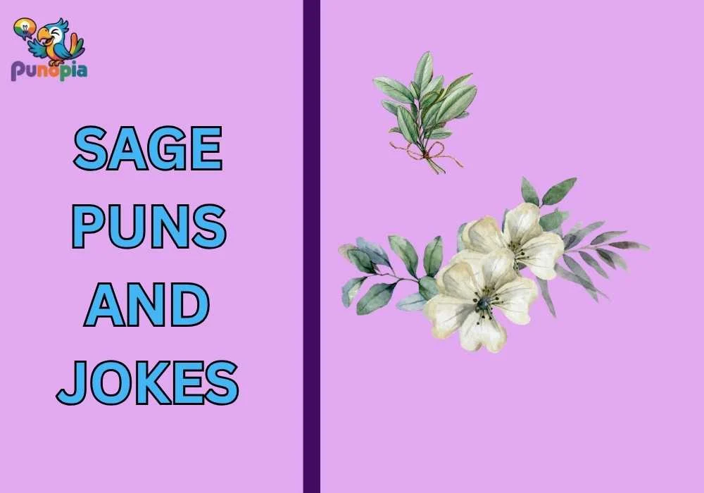 Sage puns and jokes