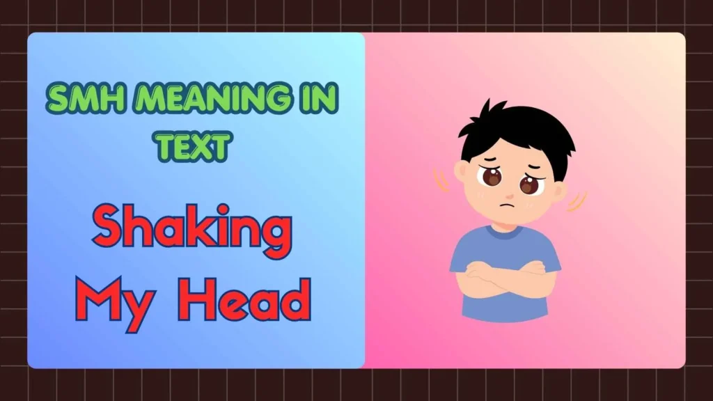 SMH Meaning in Text