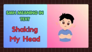 SMH Meaning in Text