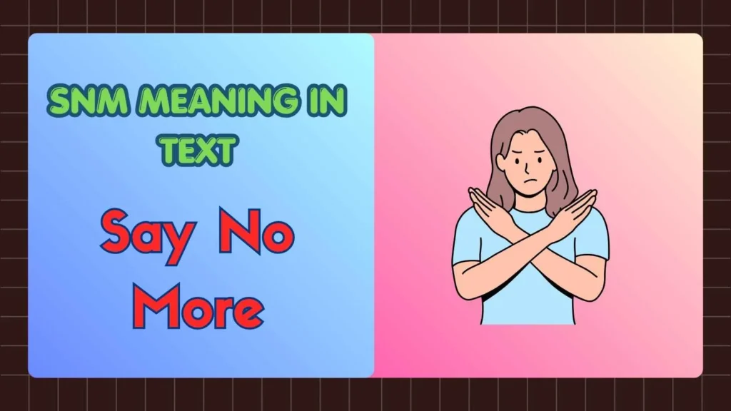 SNM Meaning in Text