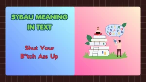 SYBAU Meaning in Text
