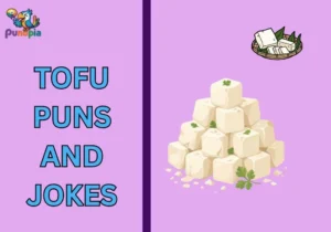 Tofu puns and jokes