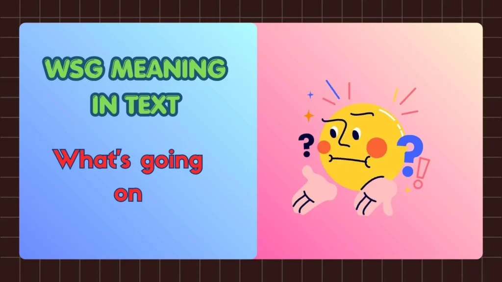 WSG Meaning in Text