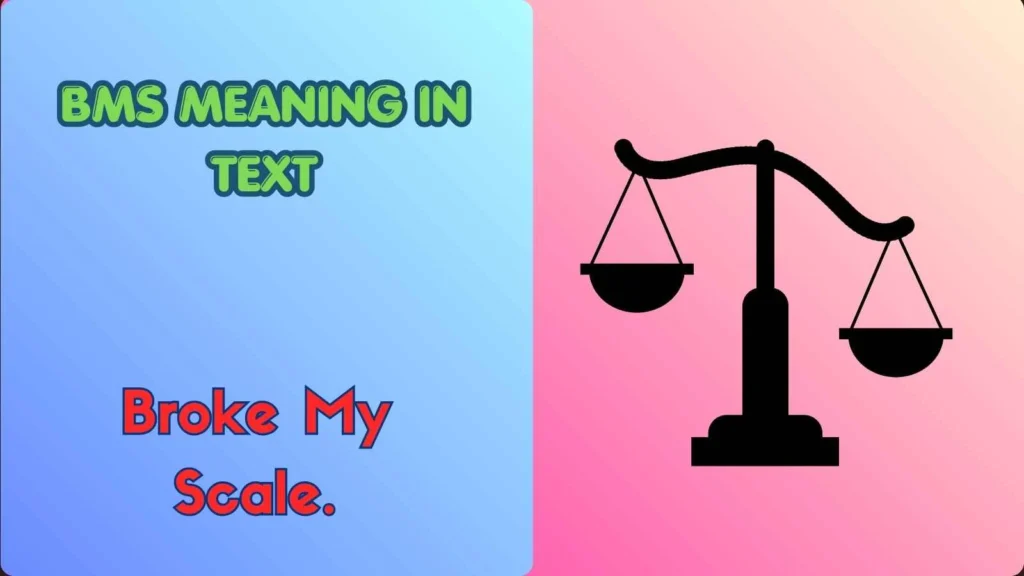 BMS Meaning in Text