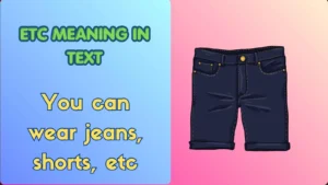 etc meaning in text