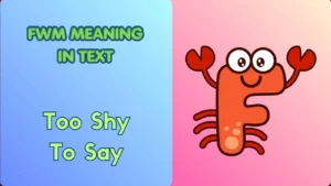 FWM Meaning in Text