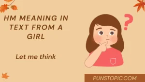 HM Meaning in Text From a Girl