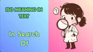 ISO Meaning in Text