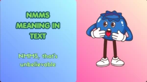 NMMS Meaning in Text
