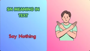 SN Meaning in Text